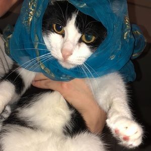 Meet your Posher, Alina